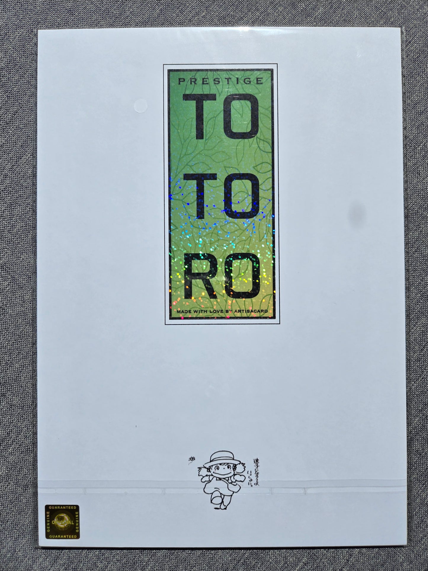 Mon Voisin Totoro Ghibli