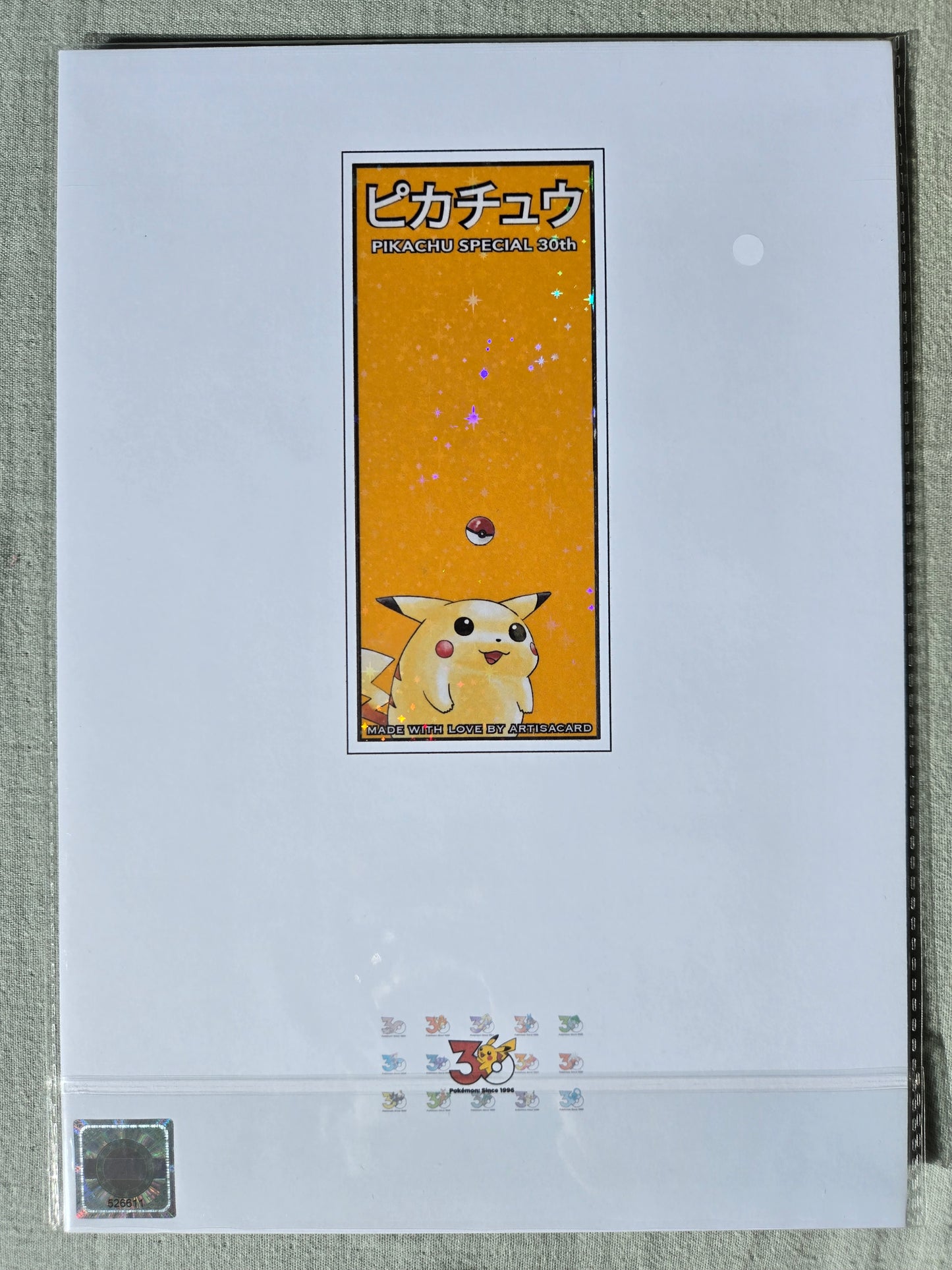 Pokémon Pikachu Spécial 30 Ans