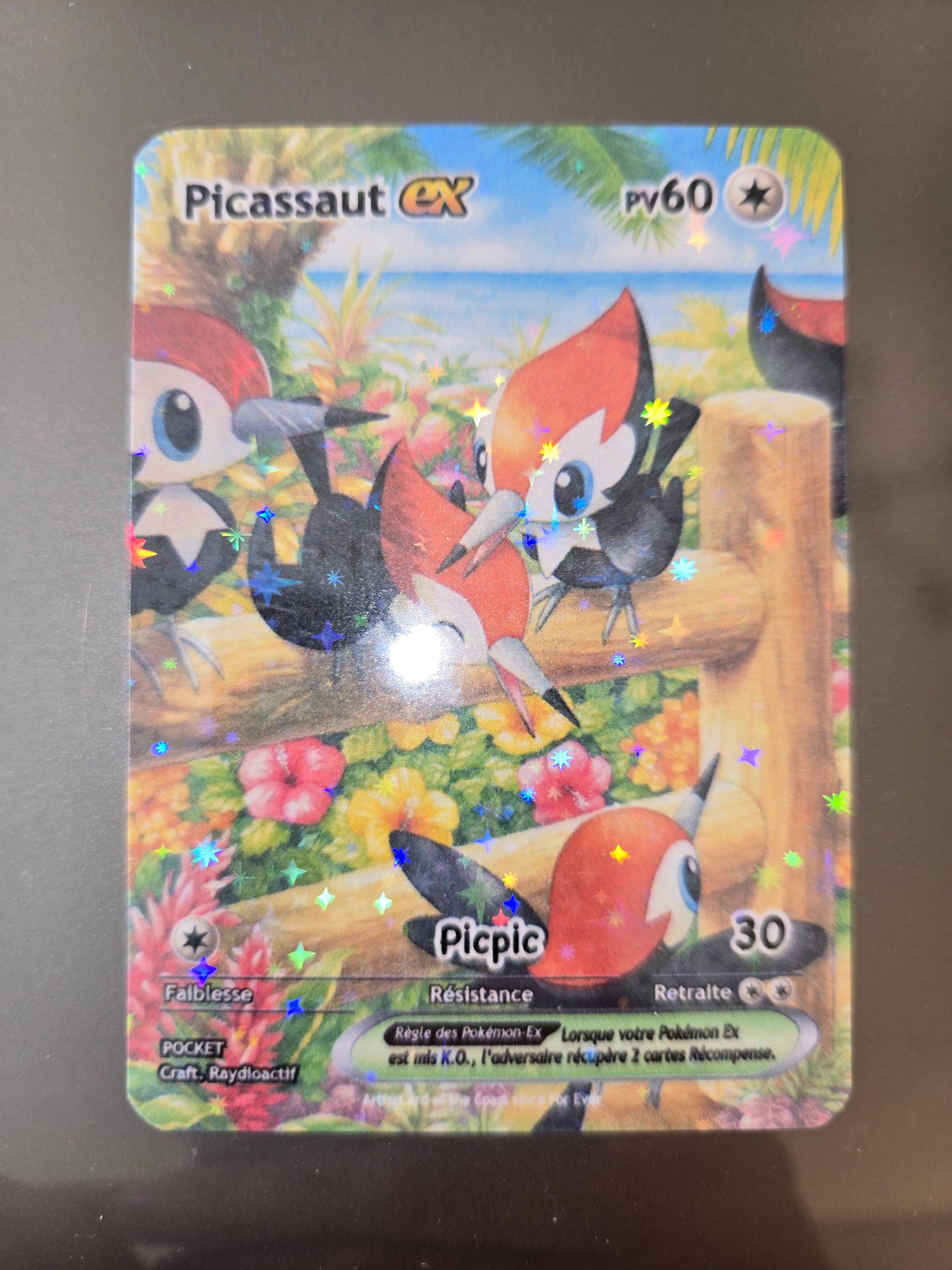 Picassaut Ex