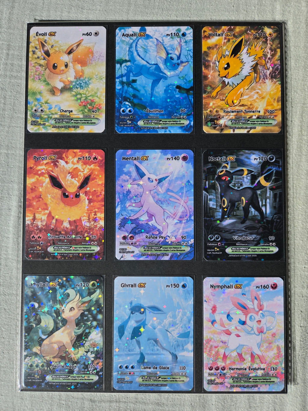 Set Évolitions Pocket