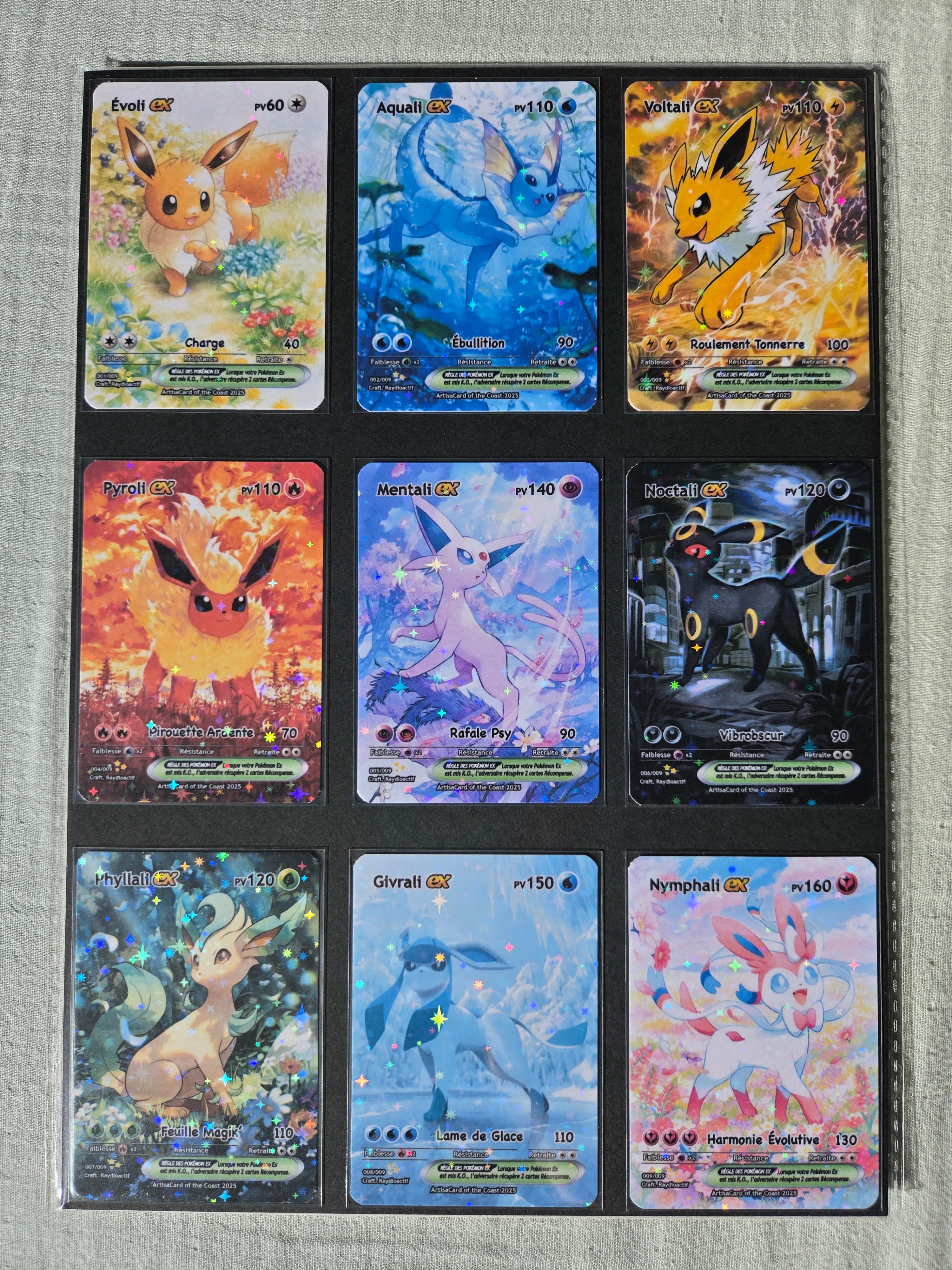 Set Évolitions Pocket
